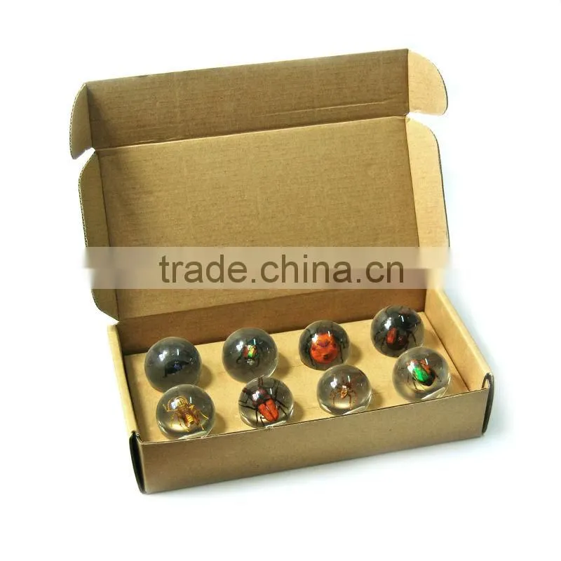 6.0 cm real resin acrylic marble ball with bugs