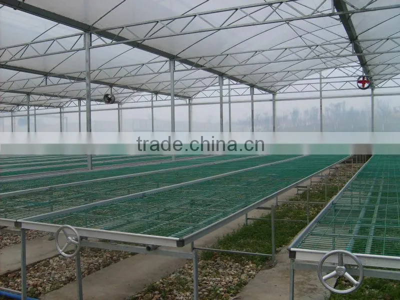 anti-high wind strong film greenhouse