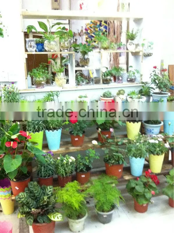 Pierced Plastic Flower Pot