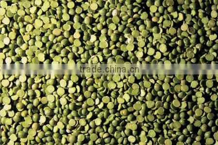 High quality bean skin peeling machine/soybean skin removing machine for sale
