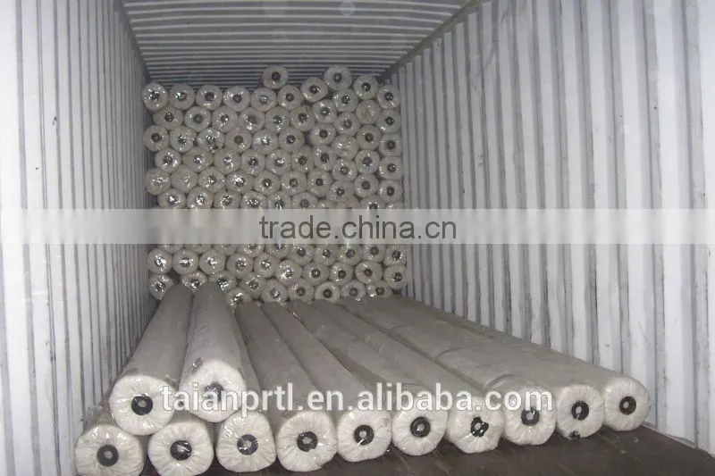 Warp Knitted Polyester Geogrid -PET
