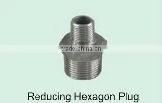 investment casting carbon/stainless steel pipe fittings plug