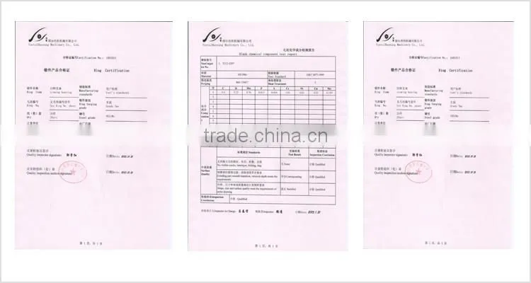 Crossed Roller Slewing Bearing for energy