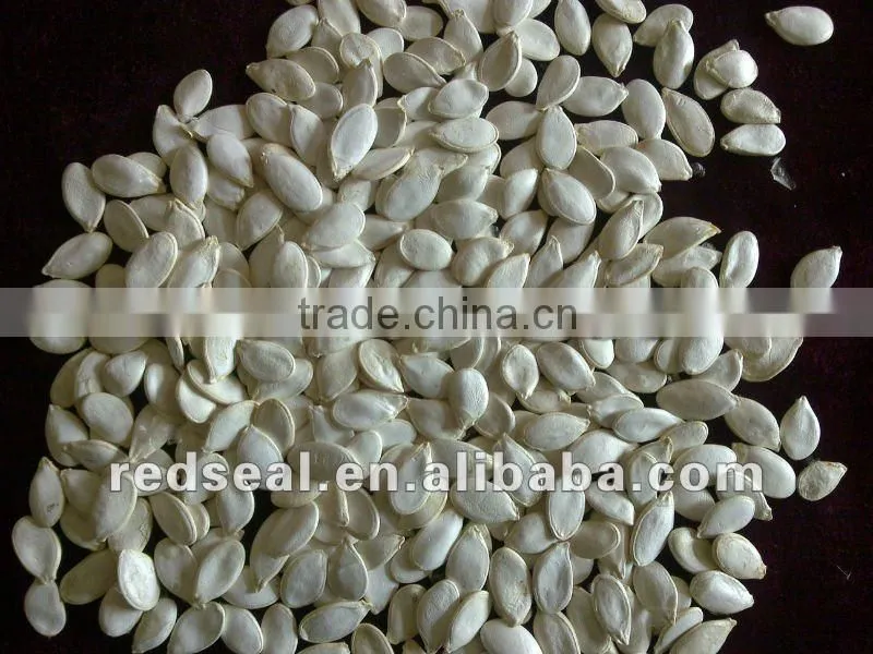 Chinese 5009 sunflower seeds