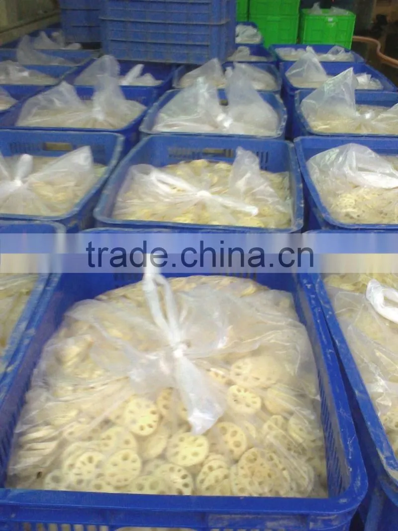 Vietnam lotus root with goos quality and best price