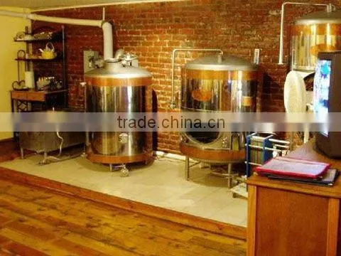 100l testing beer equipment