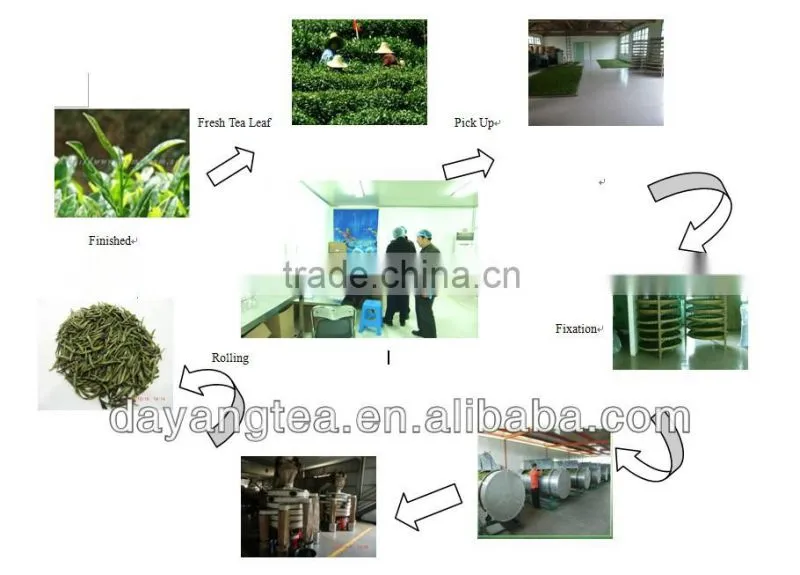 Organic MaoFeng Green Tea
