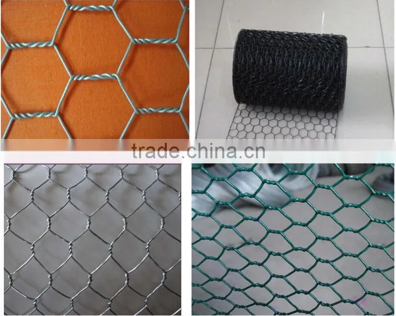 Anping hexagonal mesh