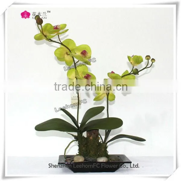 Lifelike Orchids Wedding Wholesale Potted Flower For Sale