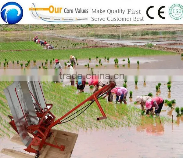 big promotion and popular selling rice transplanter price