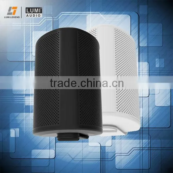 Mini flat outdoor ceiling speakers