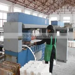 Nanjing Wellson Sporting Goods Co., Ltd. company overview - view 3