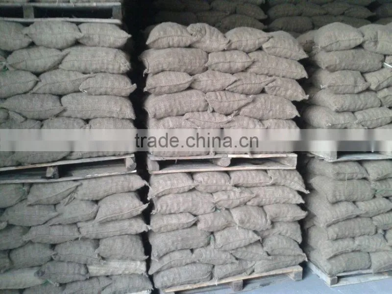 chinese chestnut