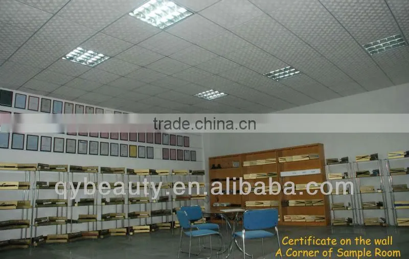 Hair styling appliance hanging blow dryers with AC motor