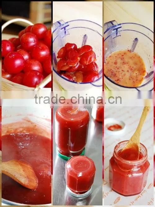 Competitive Price Fruit Pulping Machine