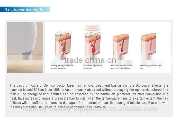 2015 new design Back Hair Removal/Beauty Salon Hair Removal/Brazilian Laser Hair Removal