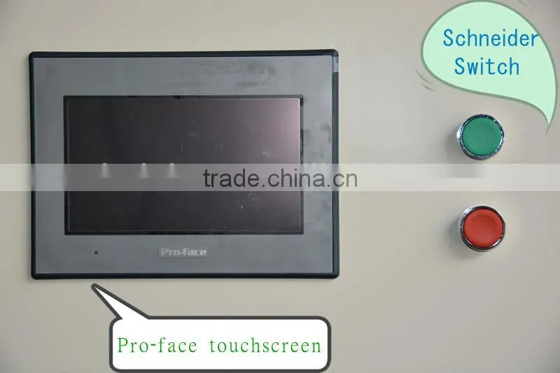 garlic color sorter, belt color sorter