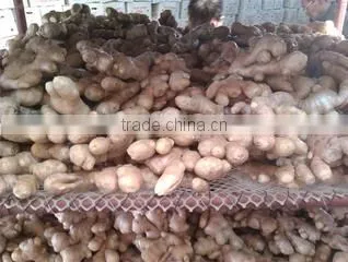 Qingdao W.R.Y Industry Trading Co., Ltd. company overview - view 2