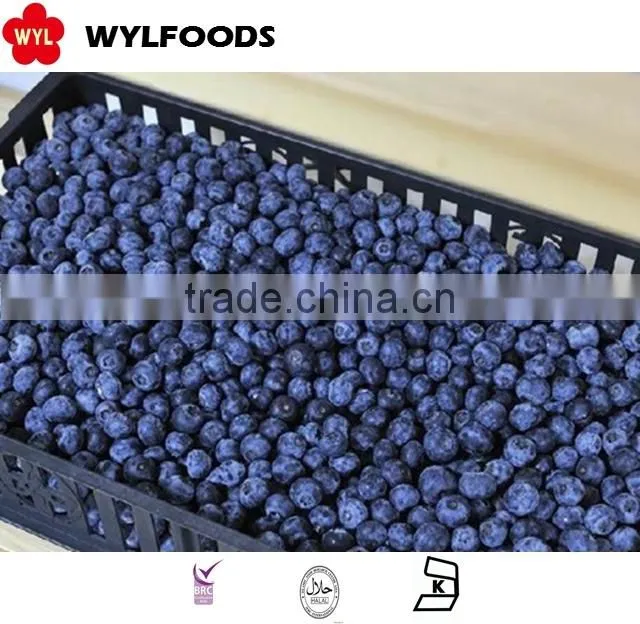 IQF frozen blueberry high quality hot sales