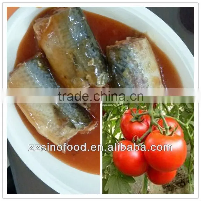 Grade A Canned Mackerel in Vegetable Oil