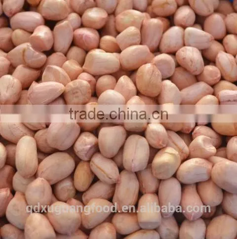 bold blanched peanut kernel 70/80