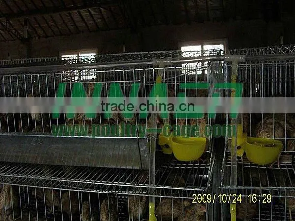 Supply Feeding Quail Cage in High Quality(ISO9001)