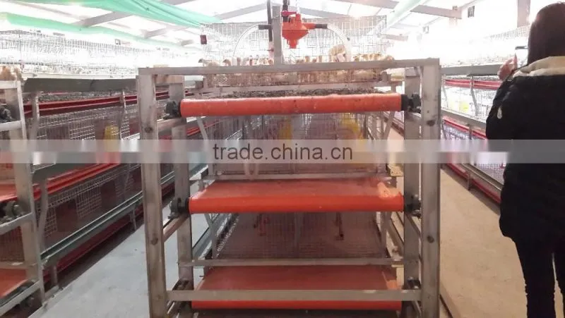 H- type 3 tiers hot -drip Galvanized layer chicken battery cage