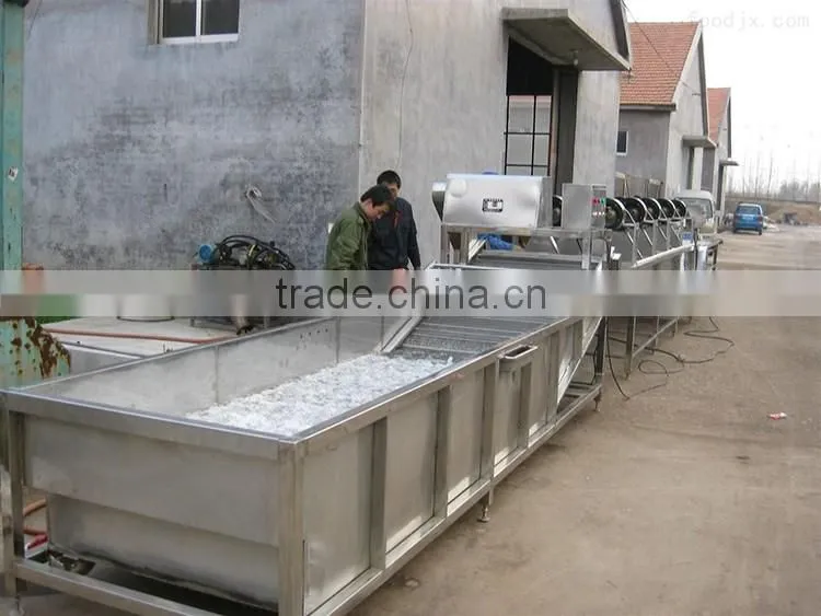 hot sale vegetable bubble washing machine/bean sprout washer machine/bean washing machine