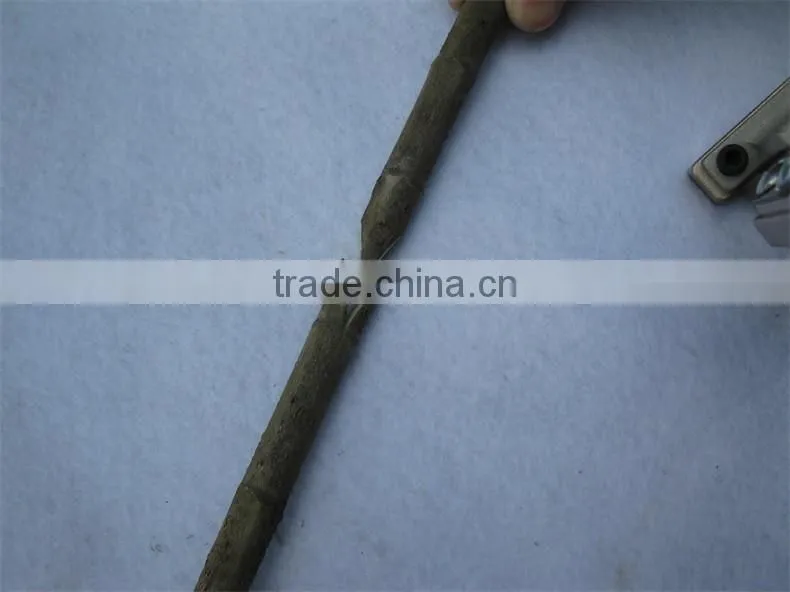 2016 function omega grafting tools which grafting 2 cm