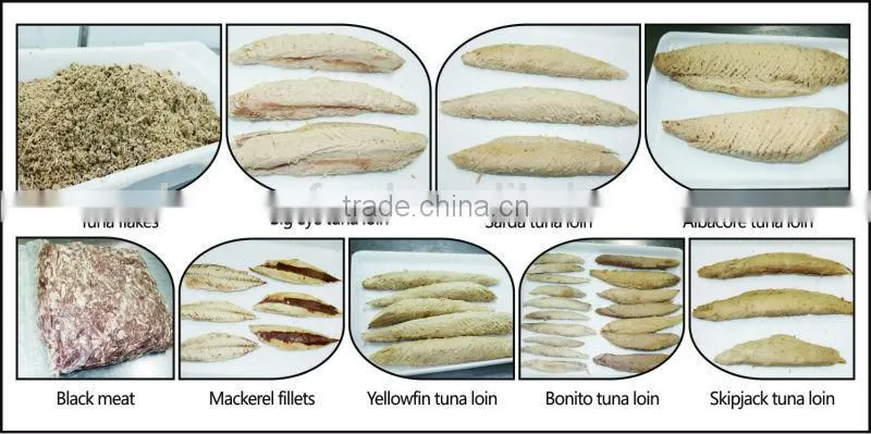 Wholesale Fresh Horse Mackerel