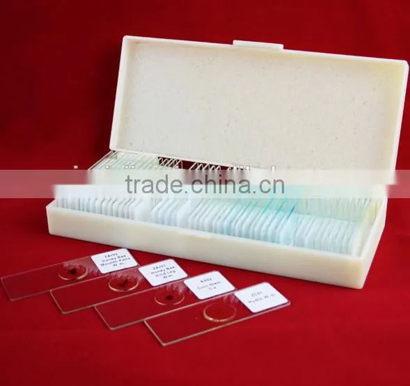 plastic box for prepared slides(contains100 piece)