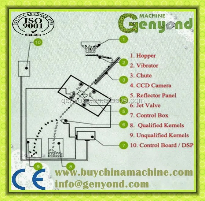 Shanghai Raisin Color Sorting Machine for Raisin Processing