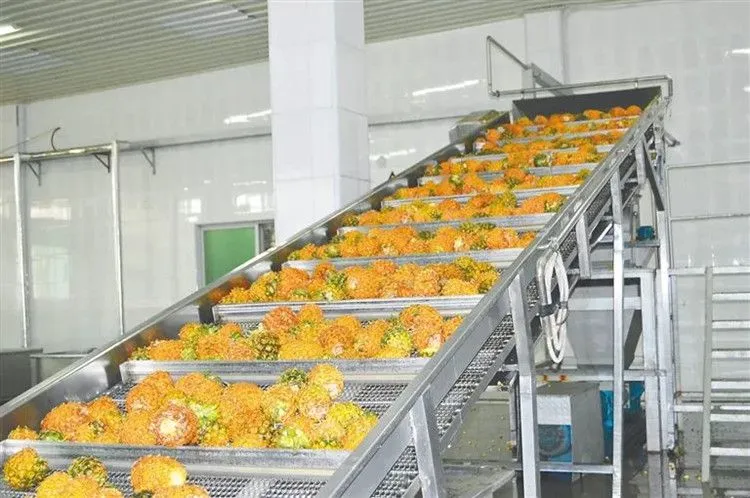 Industrial Complete Fruit Juice Making Processing Line Juice Extractor Machine Vegetable and Fruit Juicer Orange