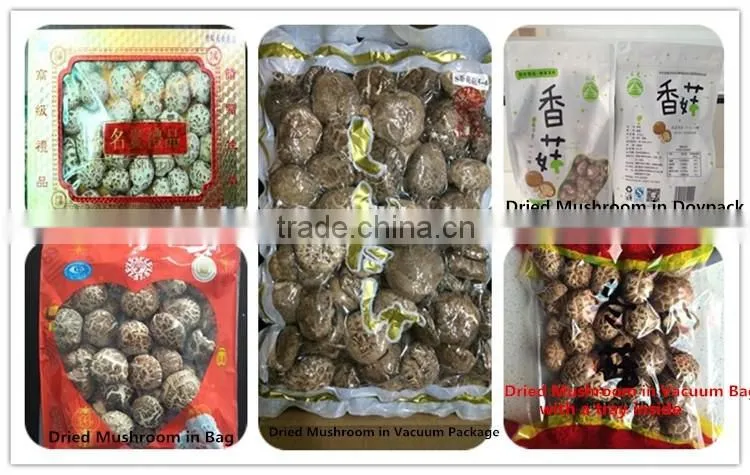 Wholesale Factory Prices for Shiitake 1KG