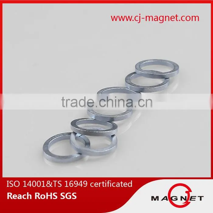 N50 ring neodymium magnet for speaker