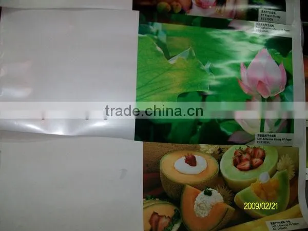 220g Eco-solvent PVC film inkjet media