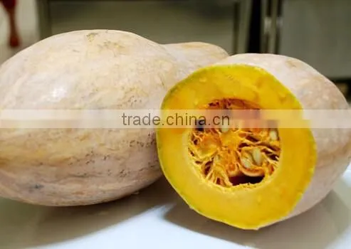 Commercial Spinach/Potato/Garlic/Ginger/Pumpkin Paste Making Machine