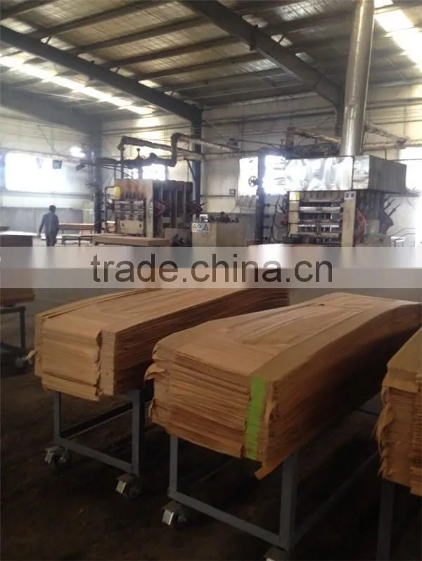 wood veneer door skin/teak wood door skin/molded melamine door skin
