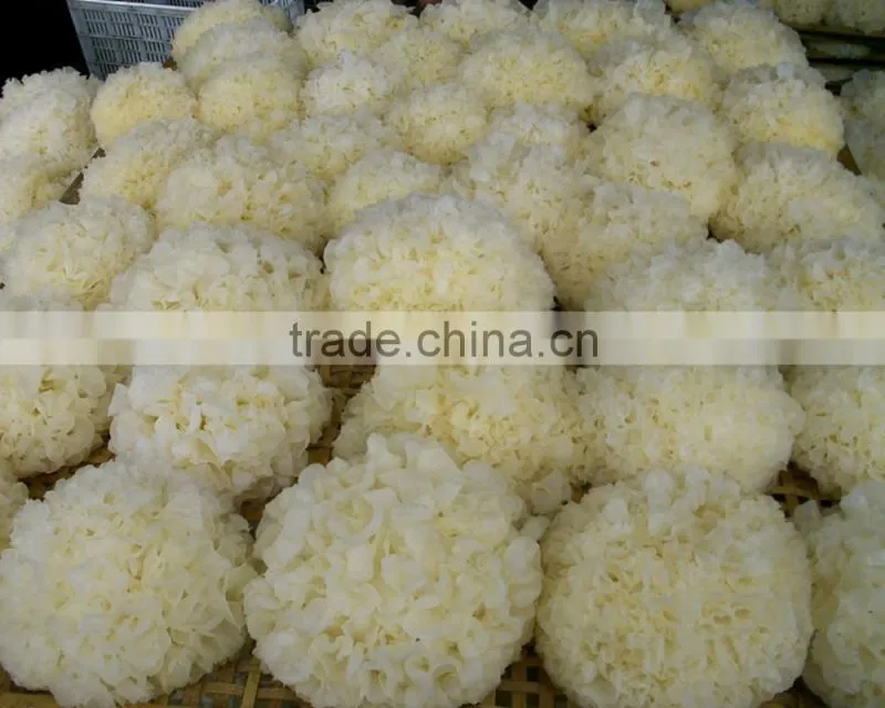 Top Quality Tremella Chinese White Fungus