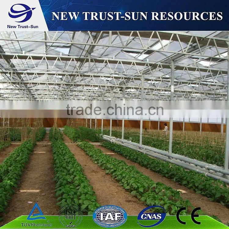 Polycarbonate/PC multi-span agricultural greenhouse
