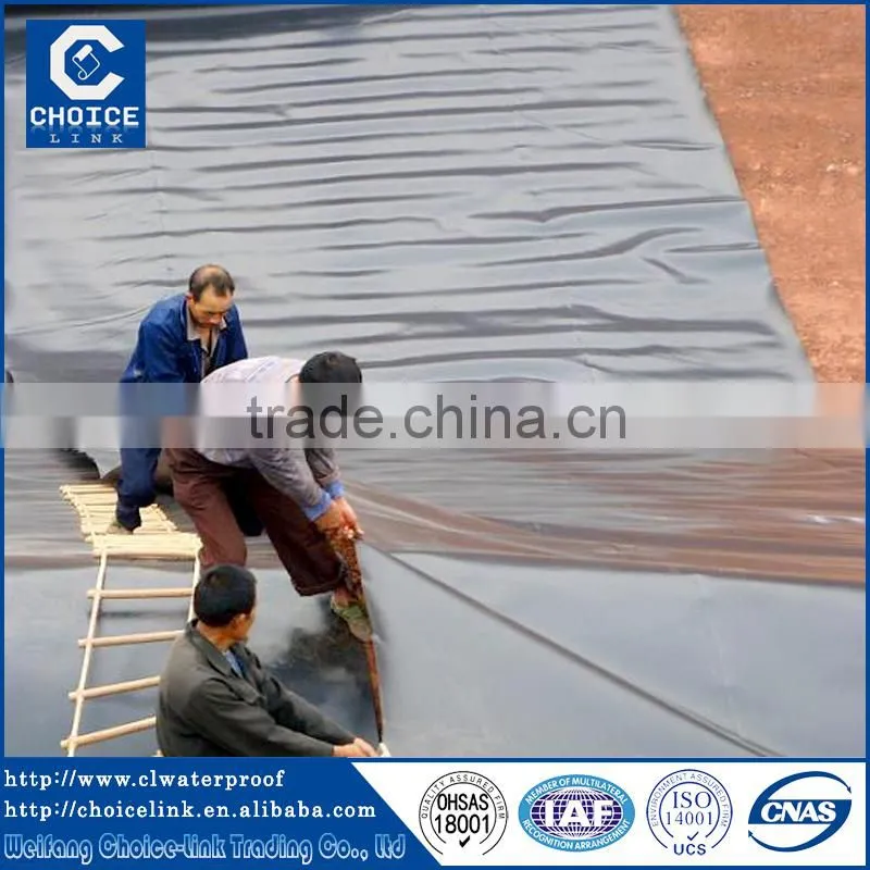 EVA Waterproofing Membrane