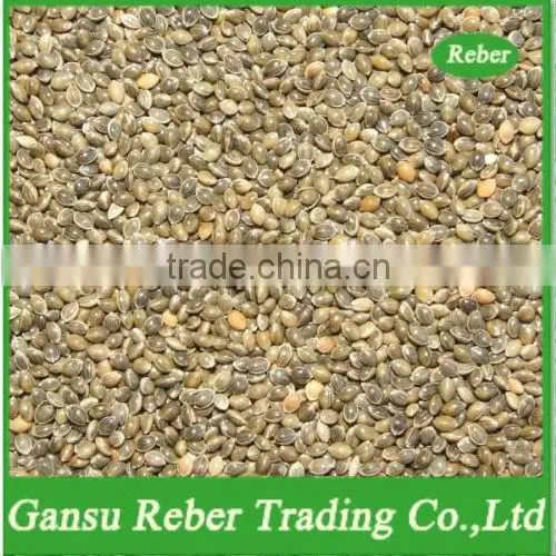 Green Broomcorn Millet