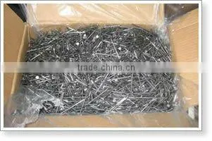 Tianjin bright common iron nail