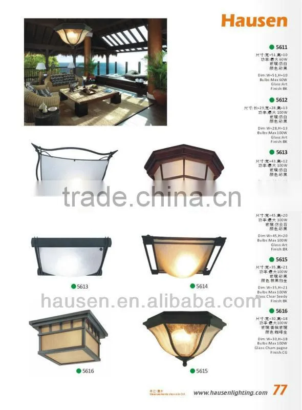 Wall ceiling lamps
