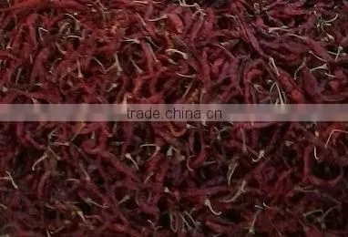 Export quality S-17 Stemless Teja chilly.