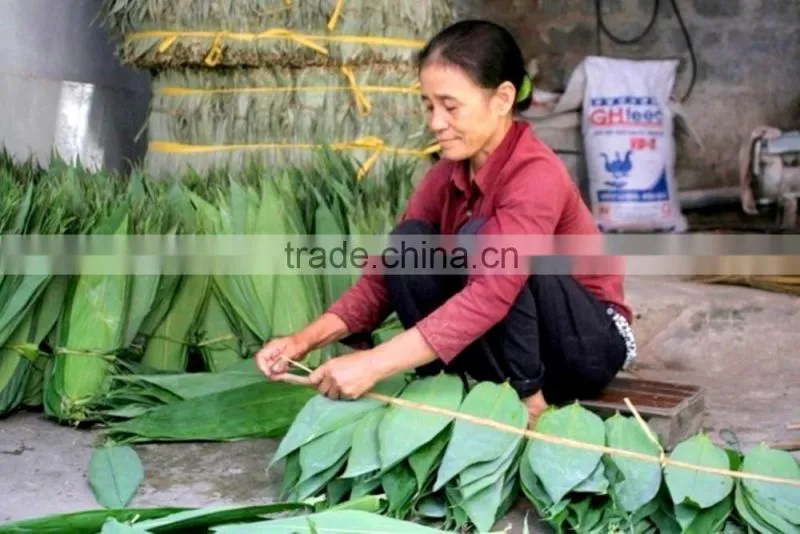 Bamboo leaf japan market; Bamboo leaves