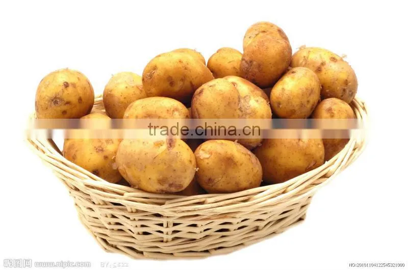 dehydrated potato flake