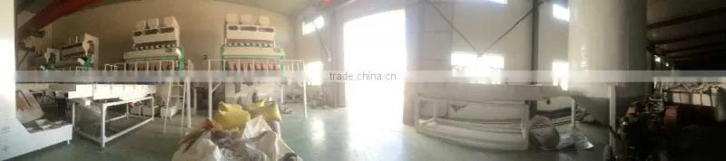 Chinese Sunflower seeds 5009 with 270-280pcs