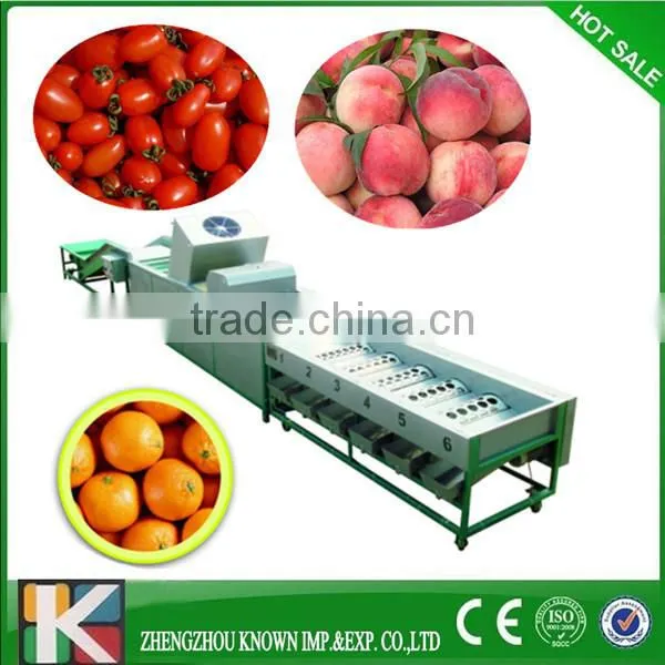 Garlic grading machine garlic grade potato sort machine