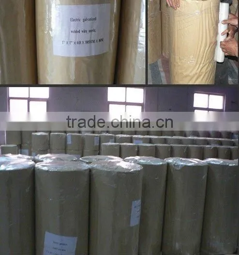 Professional factory manufactured stainless steel welded waterproof wire mesh for screenin/welded wire netting/welded wire cloth
